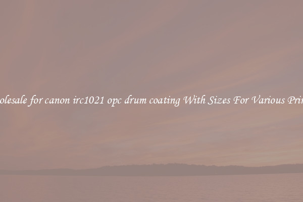 Wholesale for canon irc1021 opc drum coating With Sizes For Various Printers