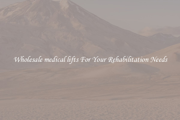 Wholesale medical lifts For Your Rehabilitation Needs