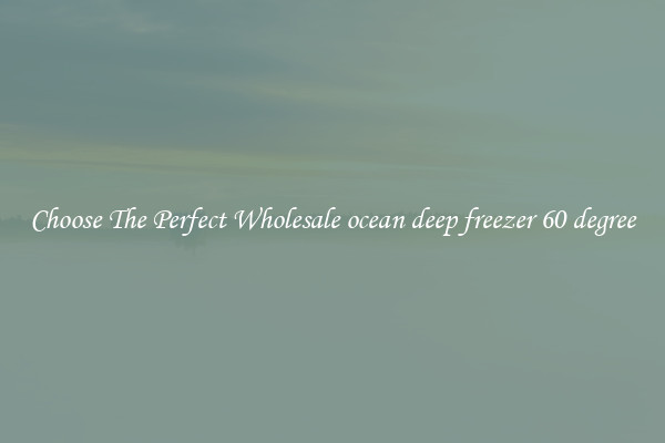 Choose The Perfect Wholesale ocean deep freezer 60 degree