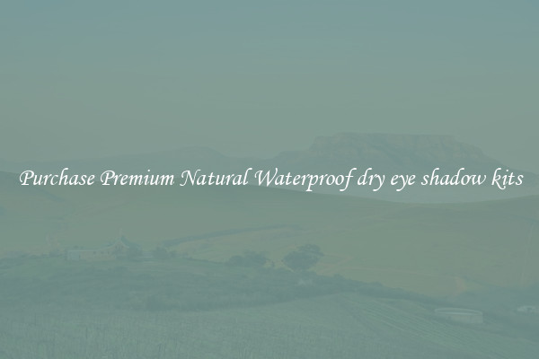 Purchase Premium Natural Waterproof dry eye shadow kits