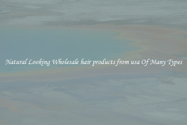 Natural Looking Wholesale hair products from usa Of Many Types