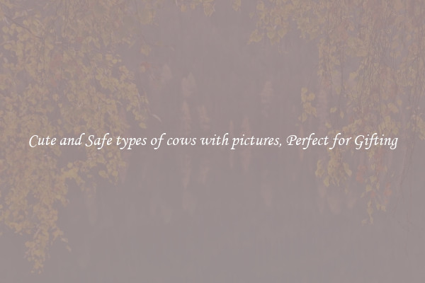 Cute and Safe types of cows with pictures, Perfect for Gifting