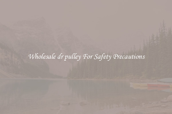 Wholesale dr pulley For Safety Precautions