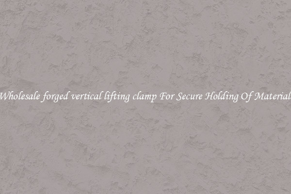 Wholesale forged vertical lifting clamp For Secure Holding Of Materials