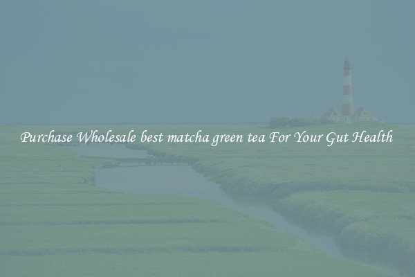 Purchase Wholesale best matcha green tea For Your Gut Health 