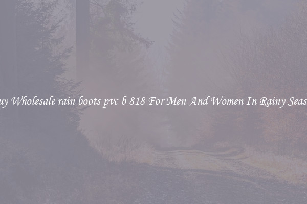 Buy Wholesale rain boots pvc b 818 For Men And Women In Rainy Season