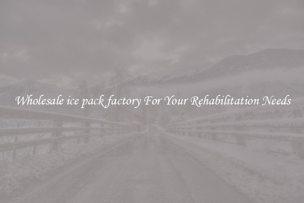 Wholesale ice pack factory For Your Rehabilitation Needs