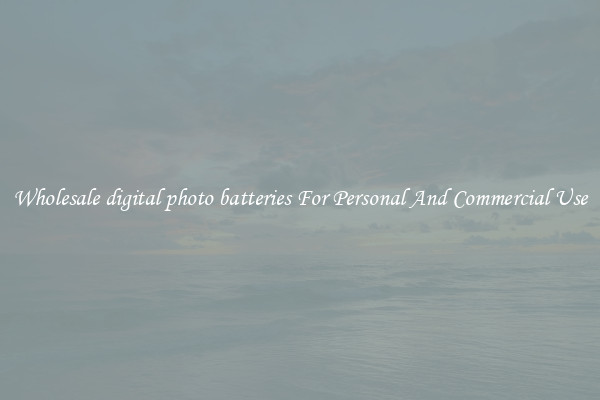Wholesale digital photo batteries For Personal And Commercial Use