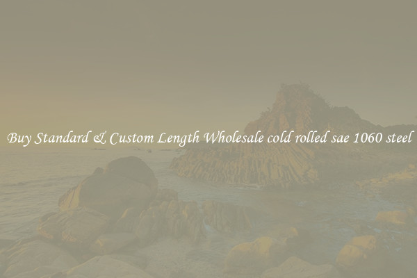Buy Standard & Custom Length Wholesale cold rolled sae 1060 steel