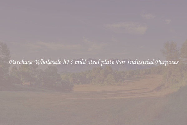 Purchase Wholesale h13 mild steel plate For Industrial Purposes