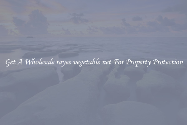 Get A Wholesale rayee vegetable net For Property Protection