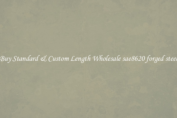 Buy Standard & Custom Length Wholesale sae8620 forged steel