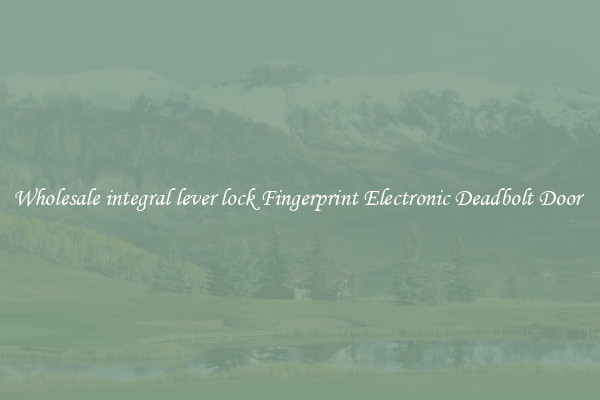 Wholesale integral lever lock Fingerprint Electronic Deadbolt Door 