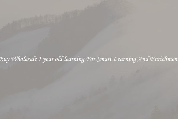 Buy Wholesale 1 year old learning For Smart Learning And Enrichment