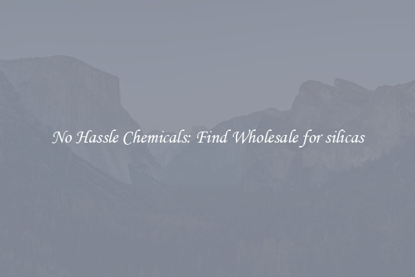 No Hassle Chemicals: Find Wholesale for silicas