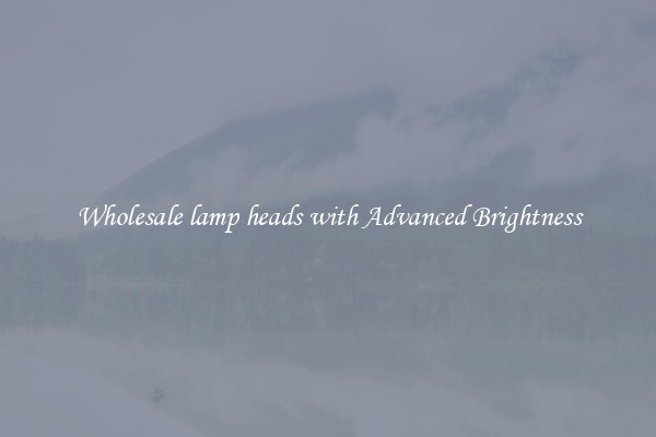 Wholesale lamp heads with Advanced Brightness