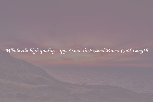Wholesale high quality copper swa To Extend Power Cord Length